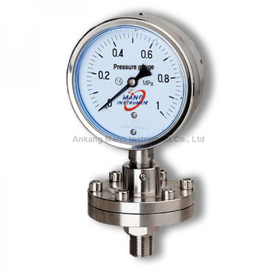 PG-071L Diaphragm seal pressure gauge